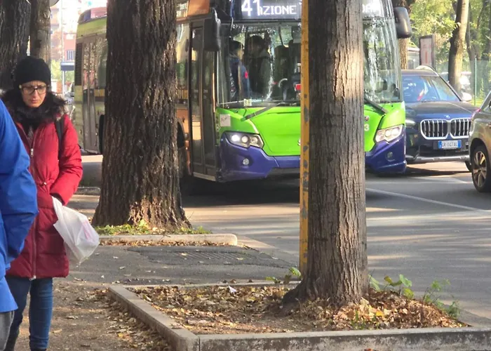 Cc133 ヴェローナ